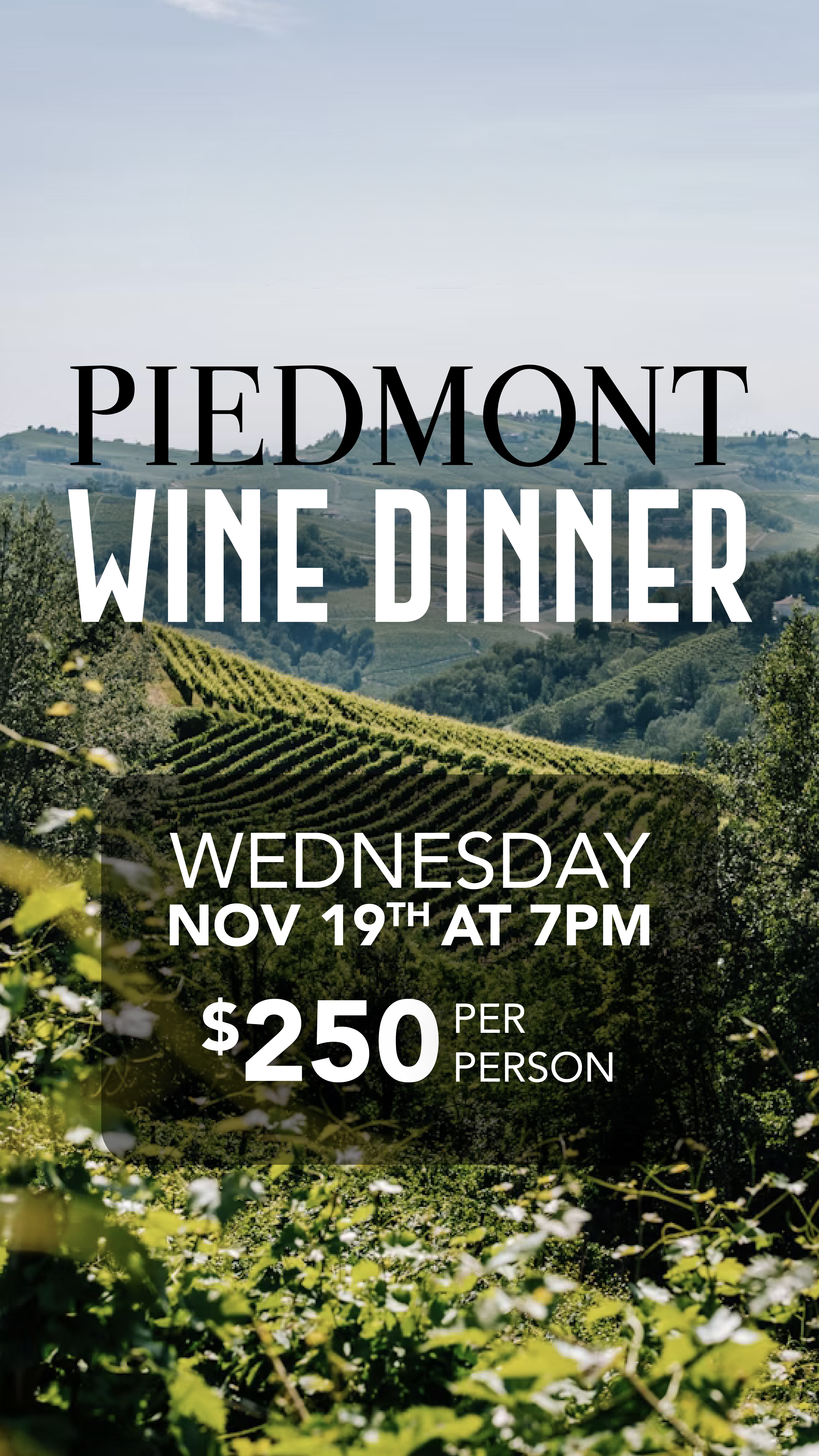 Piedmont Wine Event